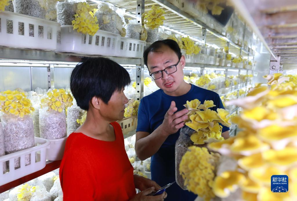 pt游戏攻略